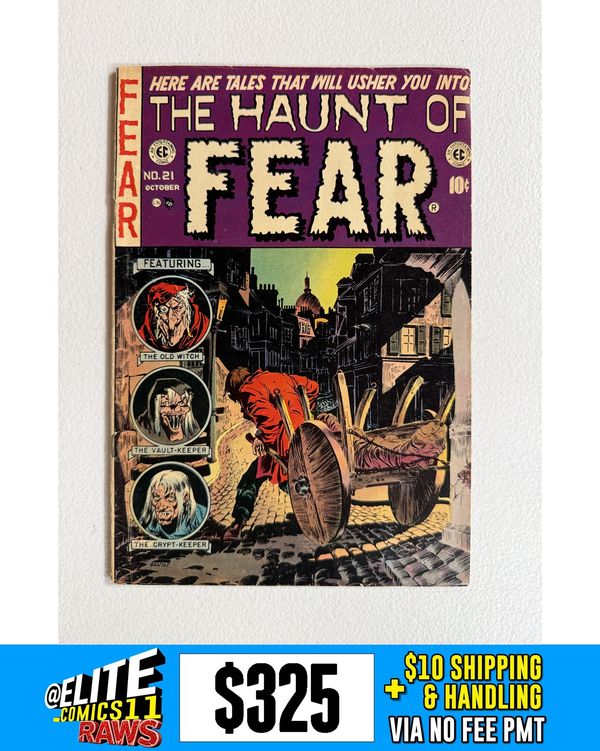 Cover of Haunt of Fear #21
